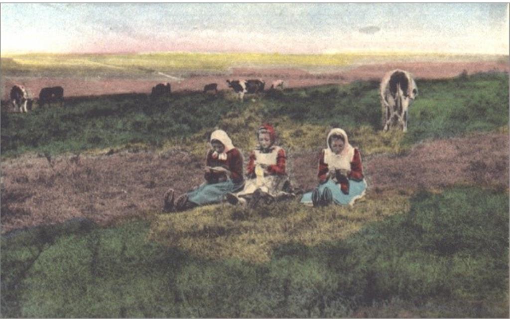 Kinder aus Elsenborn beim Viehhüten, Anfang des 20. Jahrhunderts