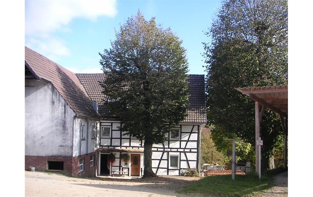 Fachwerkhof mit Hofbaum in Schückhausen (2007)