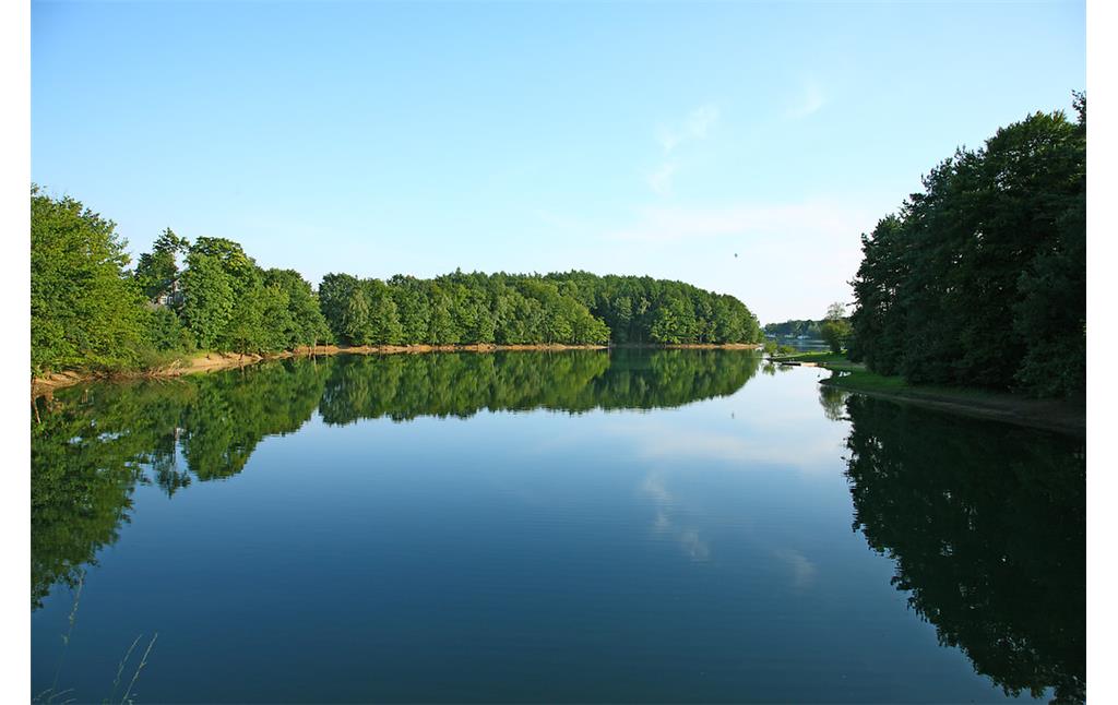 Blick auf die von Wald umgebene Wasserfläche der Bevertalsperre (2008)