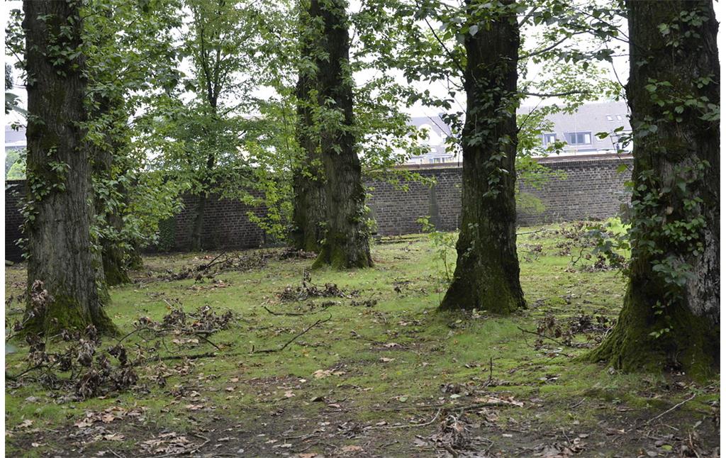Jüngerer Jüdischer Friedhof in der Mansfeldstraße in Düsseldorf-Gerresheim (2014), einige Sturmschäden vom Juni 2014 sind noch zu erkennen.