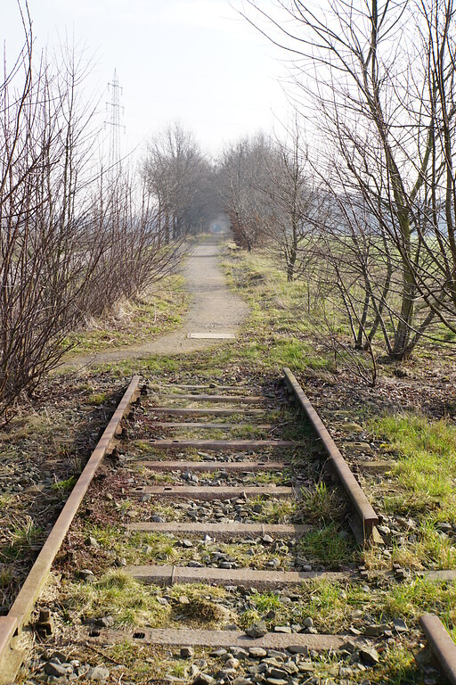 Übergang zwischen erhaltenem Gleiskörper und Radweg nahe des De Wittsees (2018)