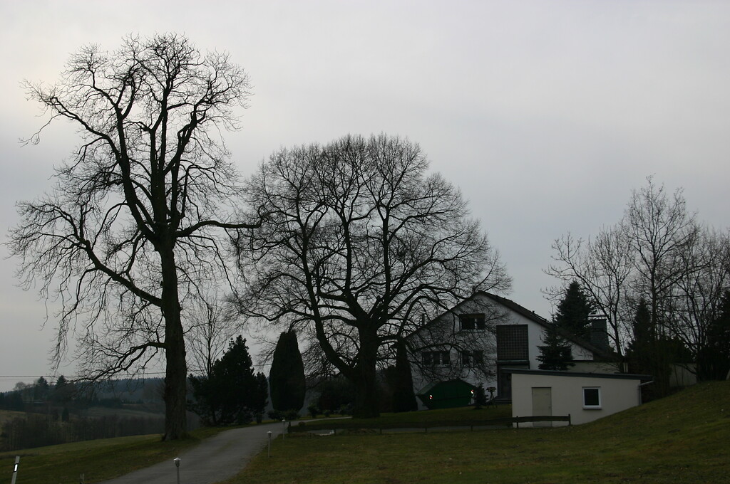 Blick auf den Standort der ehemaligen Hofstelle "Unterste Eiche" (2008)