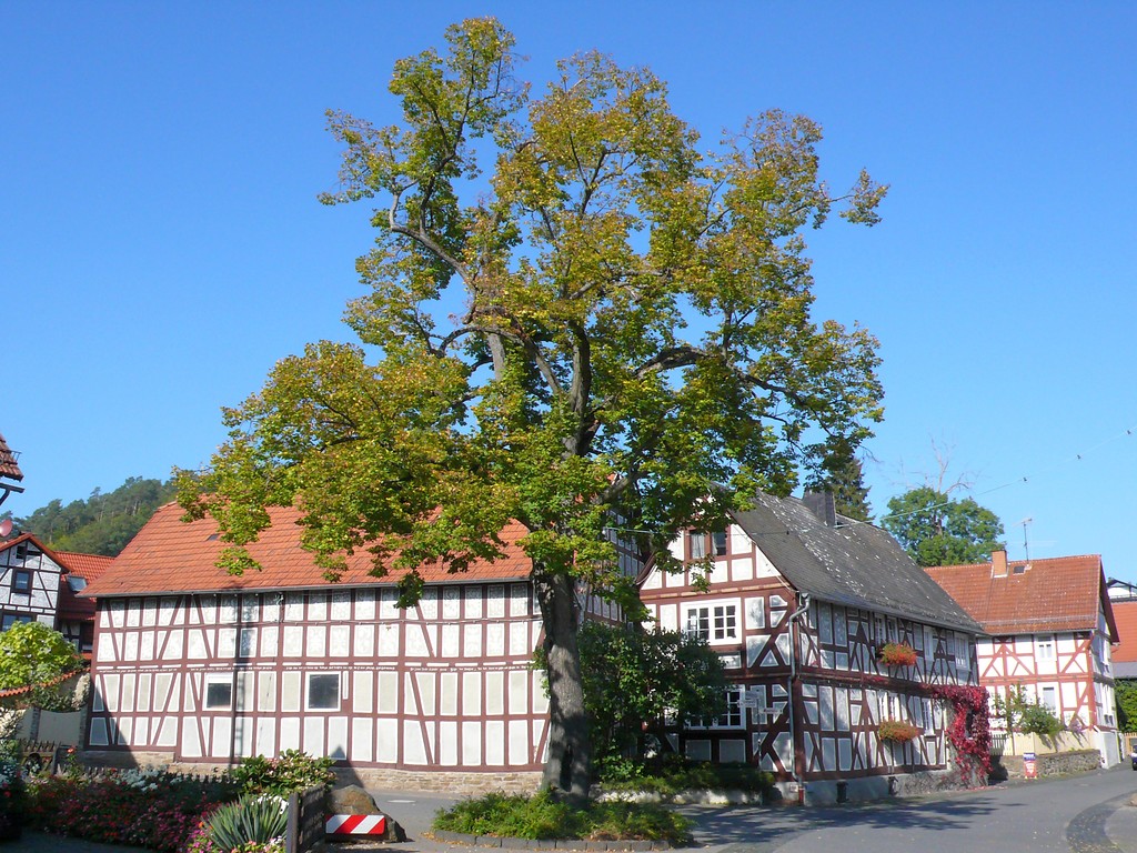 Fachwerkhäuser in Holzhausen am Hünstein (2006)