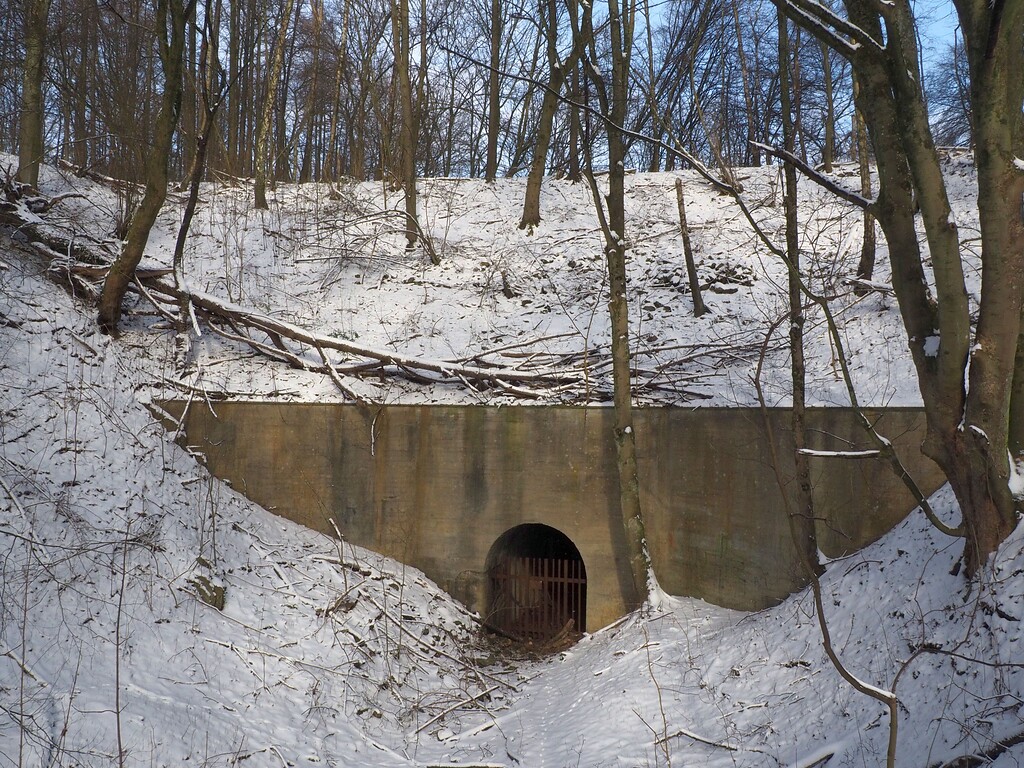 Mit einem Tunnelbauwerk versehene Einfahrt in den Bochumer Bruch (2021)