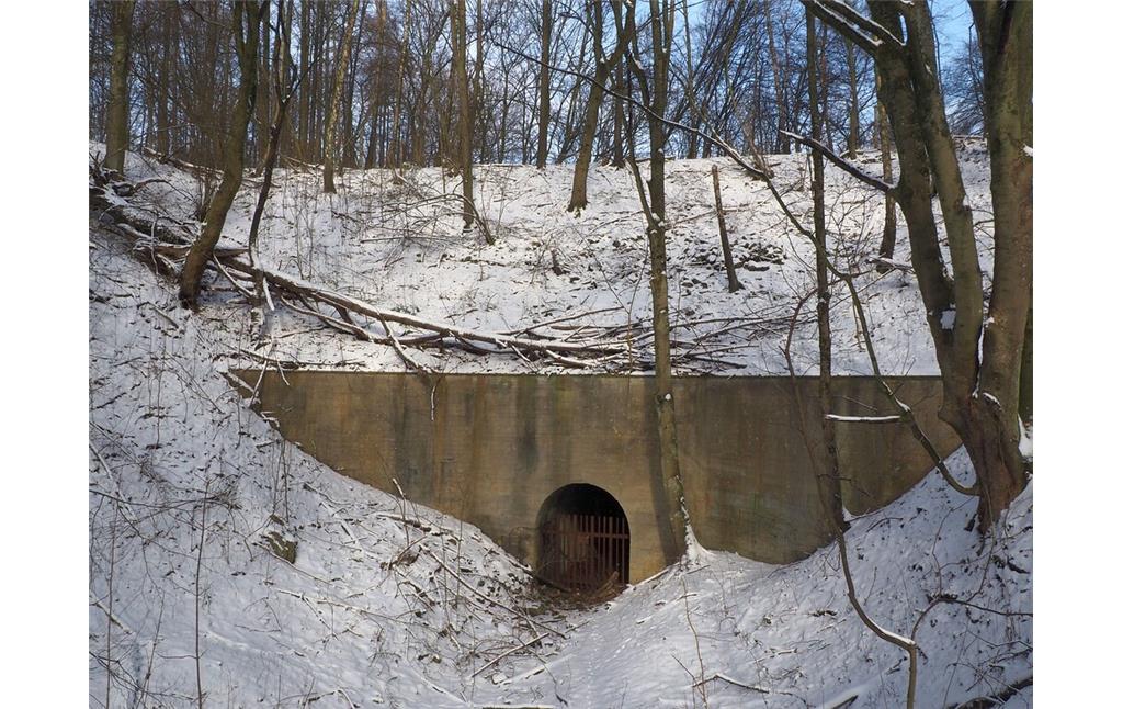Mit einem Tunnelbauwerk versehene Einfahrt in den Bochumer Bruch (2021)