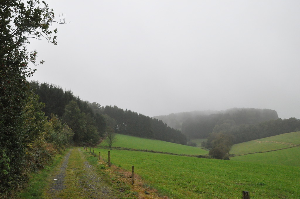 Der zum Teil von Gehölzen begleitete Feldweg von Zäunchen führt bergauf Burgruine Neuenberg, Lindlar (2014)