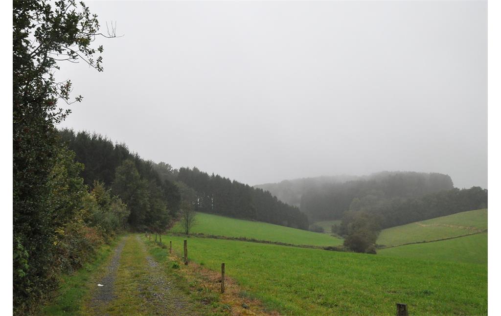 Der zum Teil von Gehölzen begleitete Feldweg von Zäunchen führt bergauf Burgruine Neuenberg, Lindlar (2014)