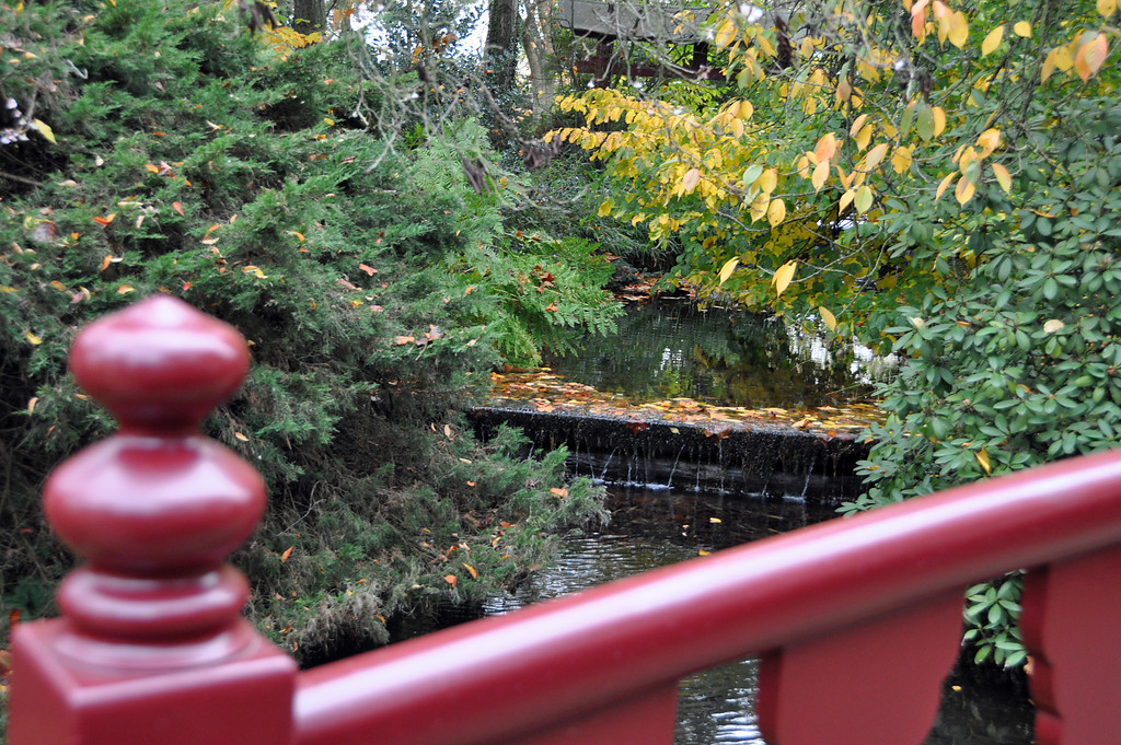 Japanischer Garten im Carl-Duisberg-Park (2014)