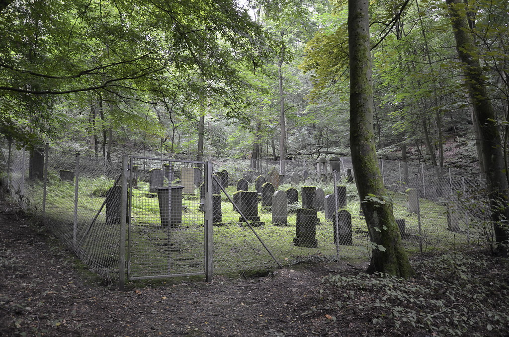 Blick auf den eingezäunten älteren Jüdischen Friedhof am Waldfriedhof in Düsseldorf-Gerresheim (2014).