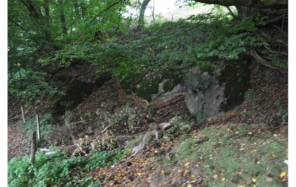 Abbaukante des ehemaligen Kalksteinbruches in Oberdierdorf (2013)