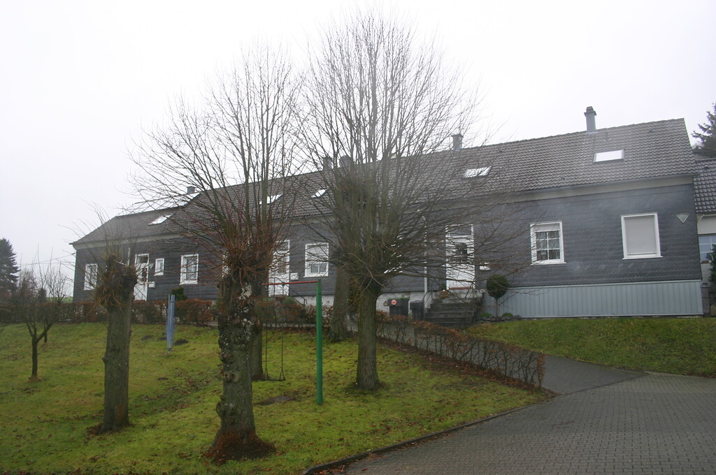Kopfbäume vor dem alten Schulgebäude in Remlingrade (2008)