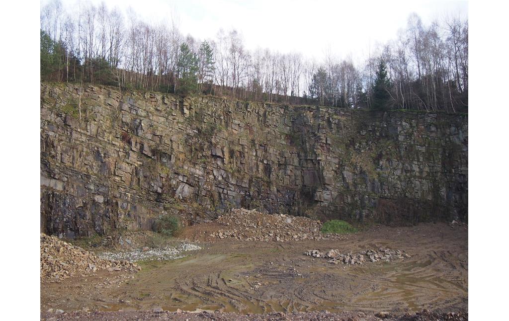 Blick in den breit angelegte Steinbruch Hagen 2. (2018)