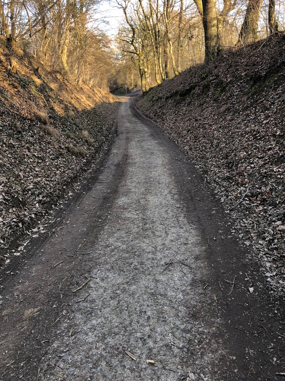 Hohlweg von Sinzig auf den Mühlenberg (2023)