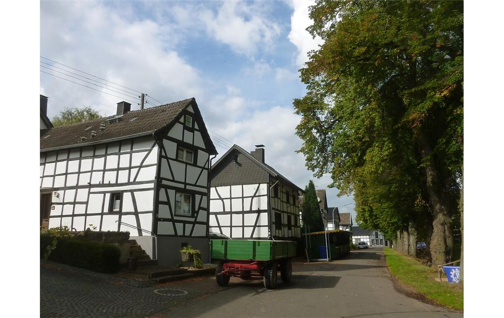 In Lückerath steht eine Reihe einzelner Fachwerkhäuser überwiegend giebelständig gegenüber einer Reihe alter Laubbäume. (2014)