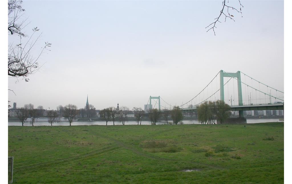 Cranachwäldchen mit Blick auf die Mülheimer Brücke (2014)