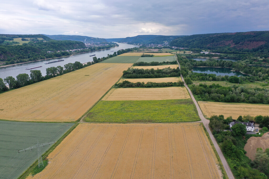 Kiesgruben am Rhein bei Sinzig (2020)