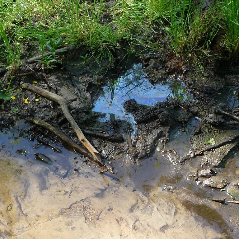 Abbildung 14: Austritt von eisenhaltigem Grundwasser im Quellgebiet Liebesallee (2009)