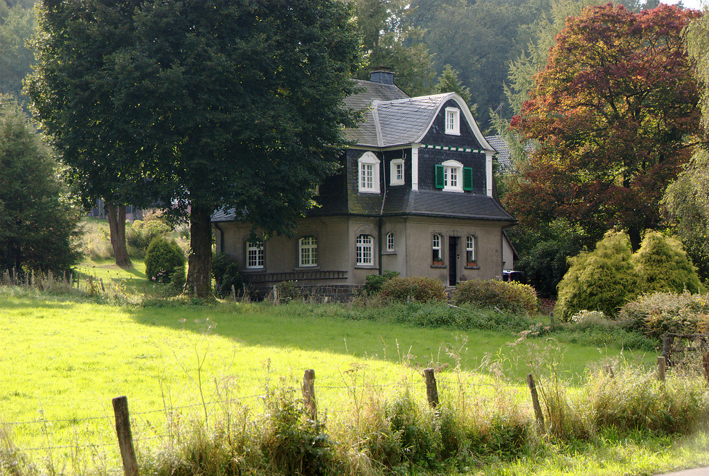 Villa mit altem  markantem Baumbestand in Großeichen (2008)