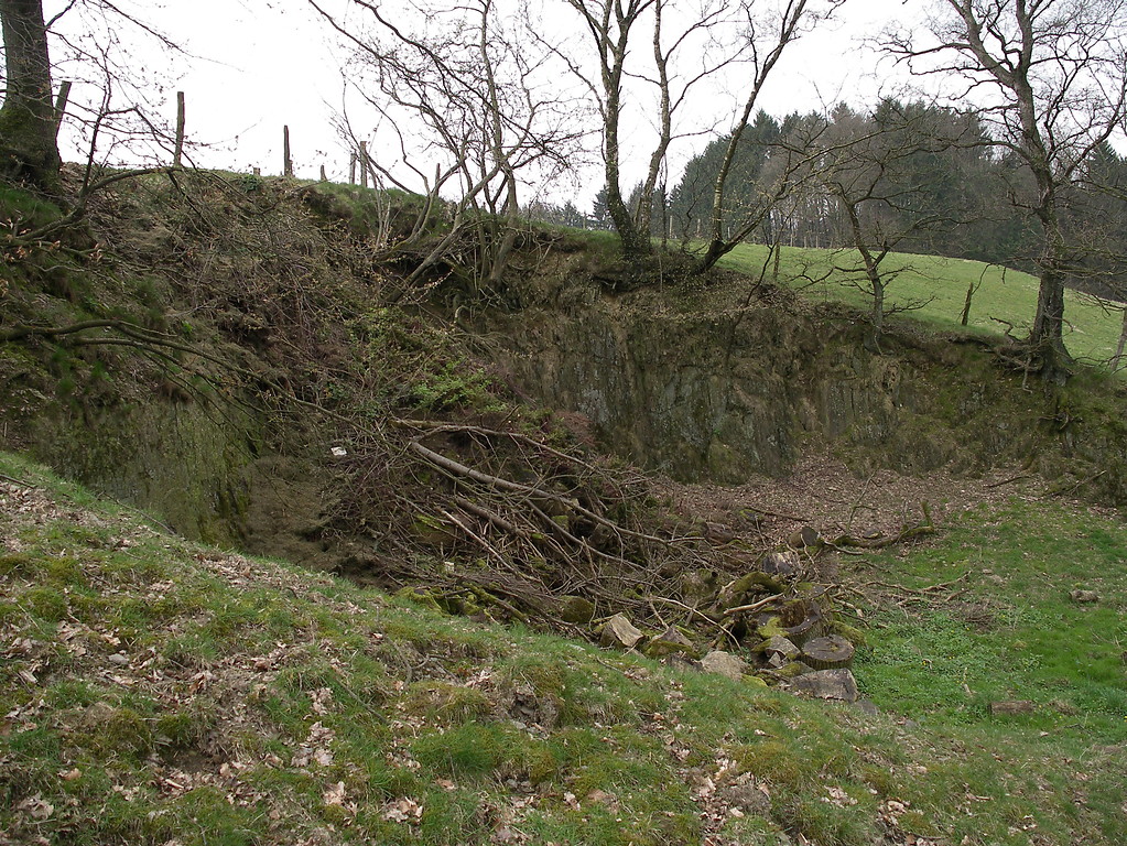 Abbaukante des Steinbruches bei Westhofen (2007)