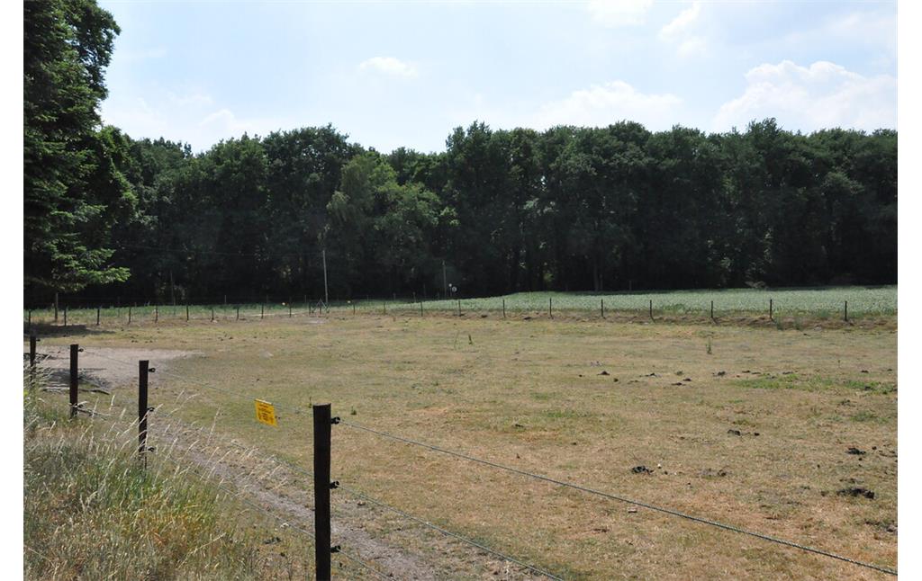 Blick über die Weideflächen und Felder des Gitstapper Hofes hinweg auf den Rand des Ophovener Waldes (2017)
