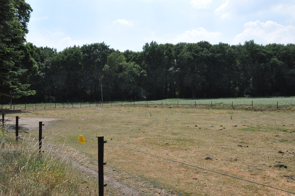 Blick über die Weideflächen und Felder des Gitstapper Hofes hinweg auf den Rand des Ophovener Waldes (2017)