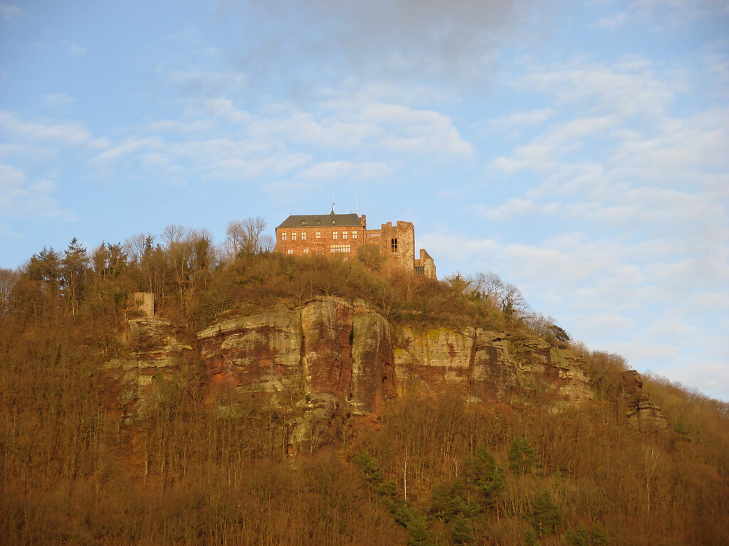 Burg Nideggen (2015)