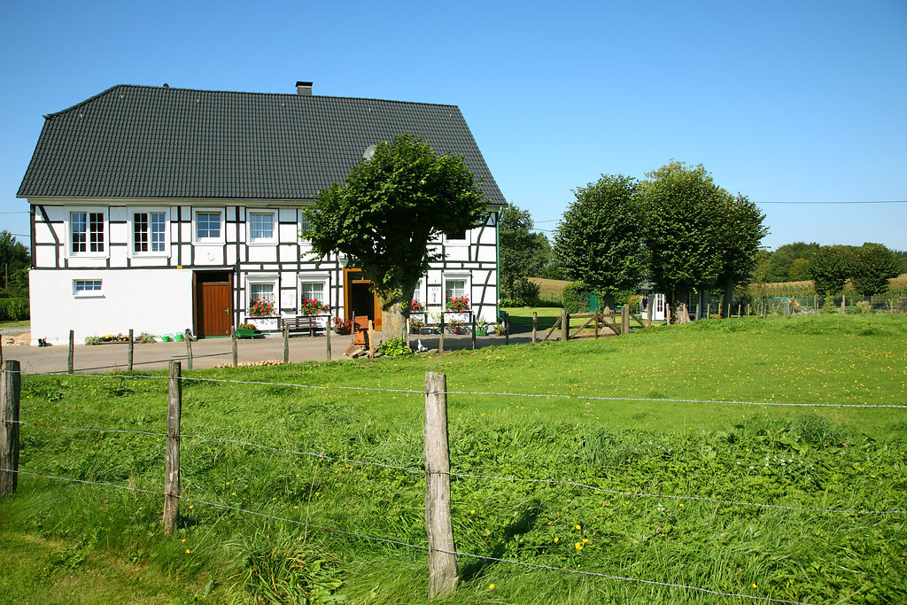 Historische Bausubstanz und Schneitellinden in Filde (2008)