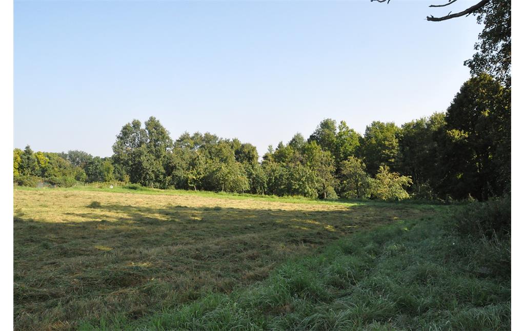 Strukturreiche landwirtschaftliche Flächen westlich von Haus Wittgenstein (2014)