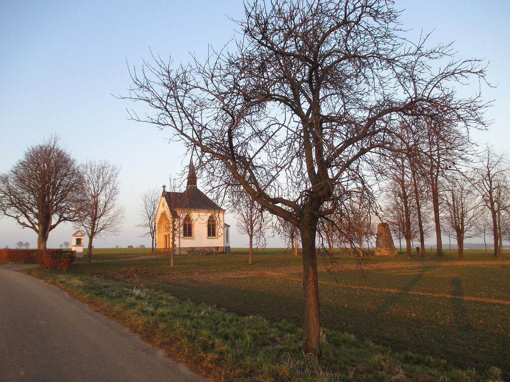 Auf die St.-Aldericus-Kapelle Füssenich führt eine Obstbaum-Allee zu (2015)