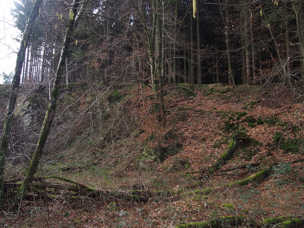 Steinbruch Graben nördlich von Hartegasse. (2018)