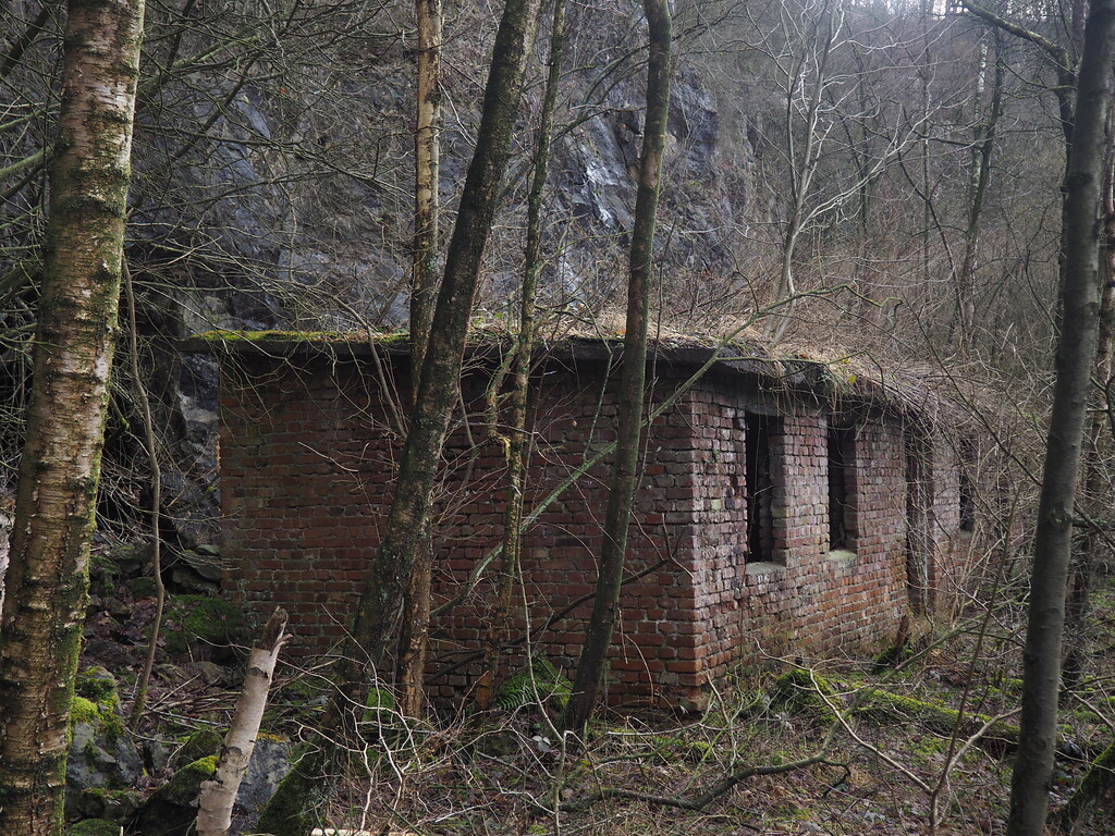 Ruine im Bochumer Bruch (2021)