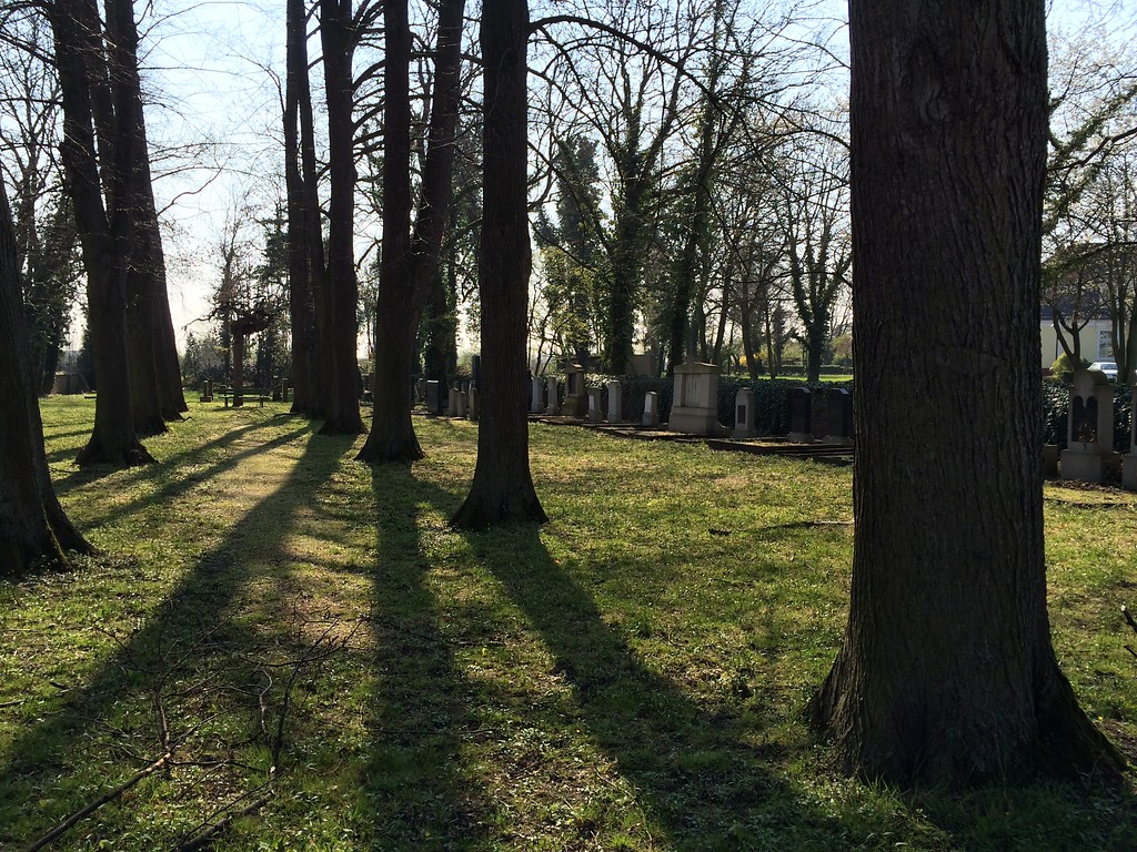 Der jüdische Friedhof an der Nußbaumallee, direkt an der Zuckerfabrik in Elsdorf