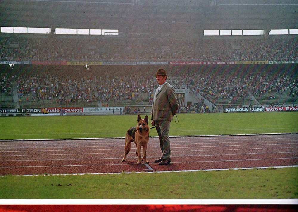 Ein Ordner mit Wachhund im Parkstadion Gelsenkirchen während eines Fußballspiels um 1980.