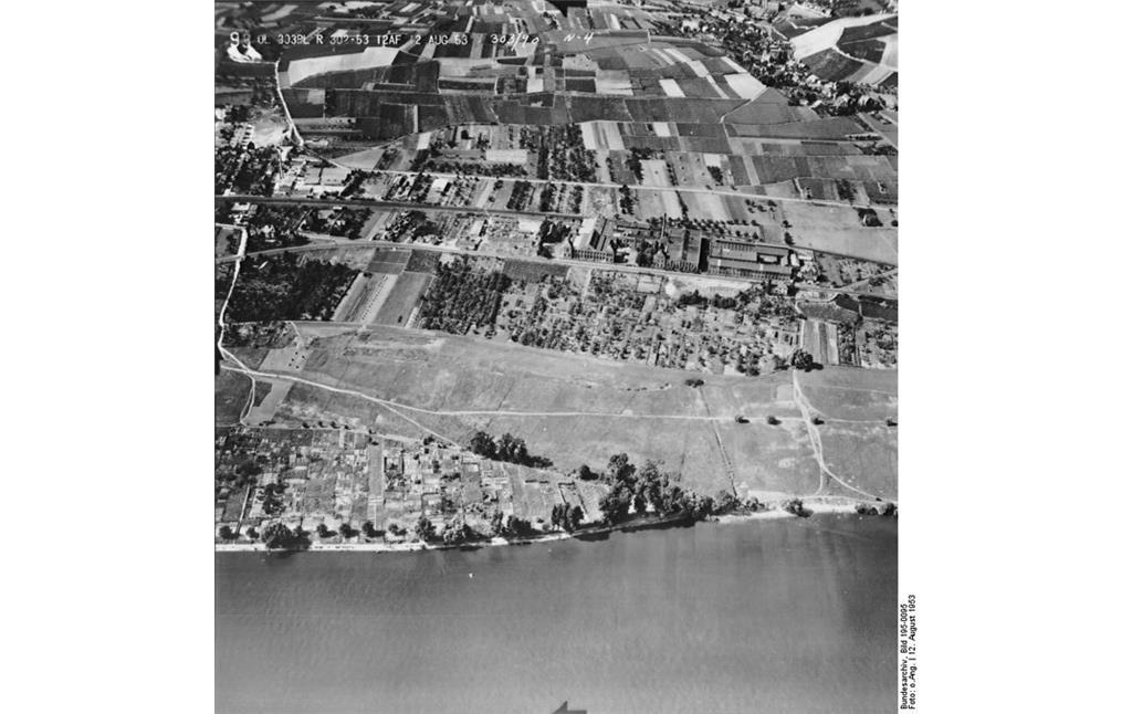 Die Schönborn'sche Aue bei Geisenheim im Jahre 1953 im Luftbild