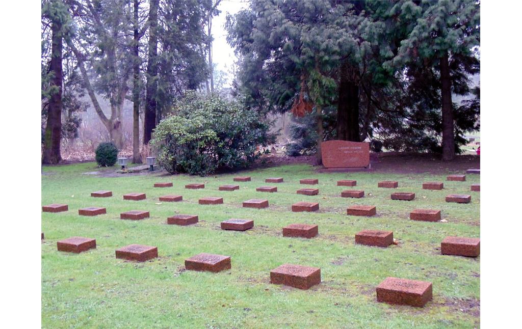 Blick auf das Gräberfeld für sowjetische Kriegsgefangene auf dem Westfriedhof in Köln-Vogelsang. Links hinter dem Busch befindet sich der Gedenkstein für die polnischen verstorbenen Kriegsgefangenen (2021).