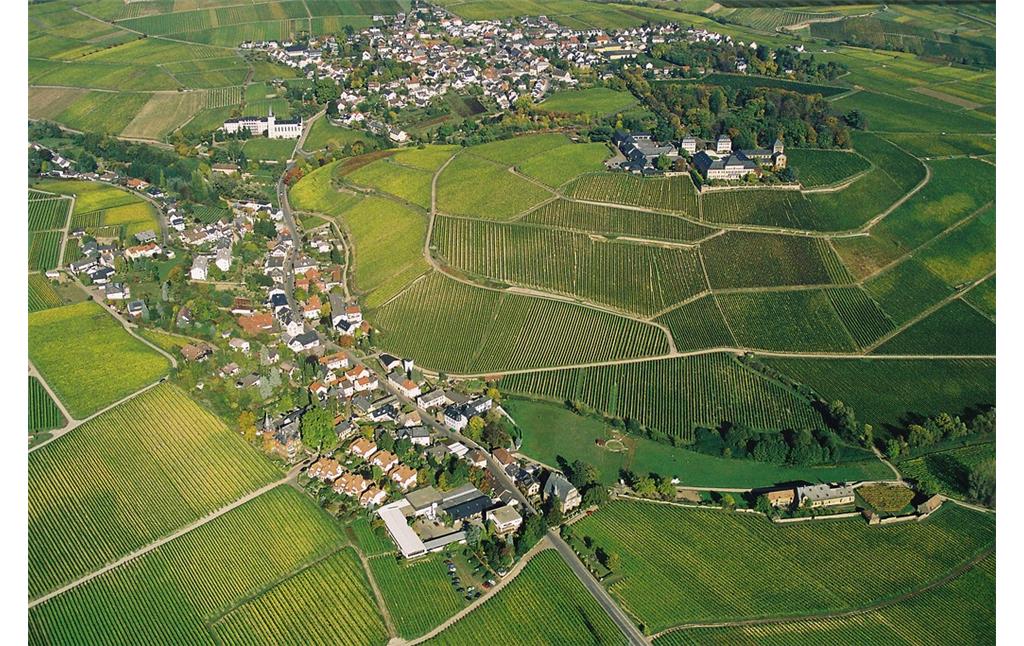 Weinbaulandschaft Johannisberg
