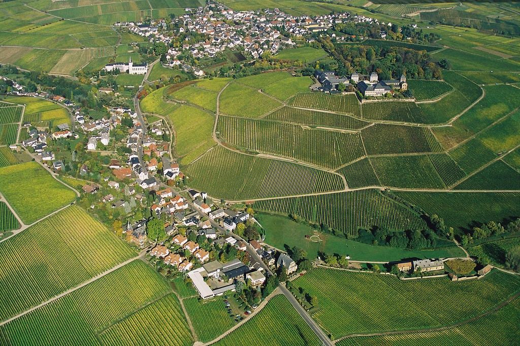 Weinbaulandschaft Johannisberg