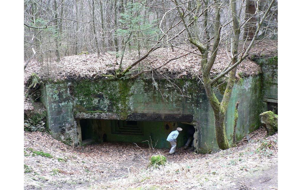 Bunkergruppe im Buhlert bei Simmerath (2008)
