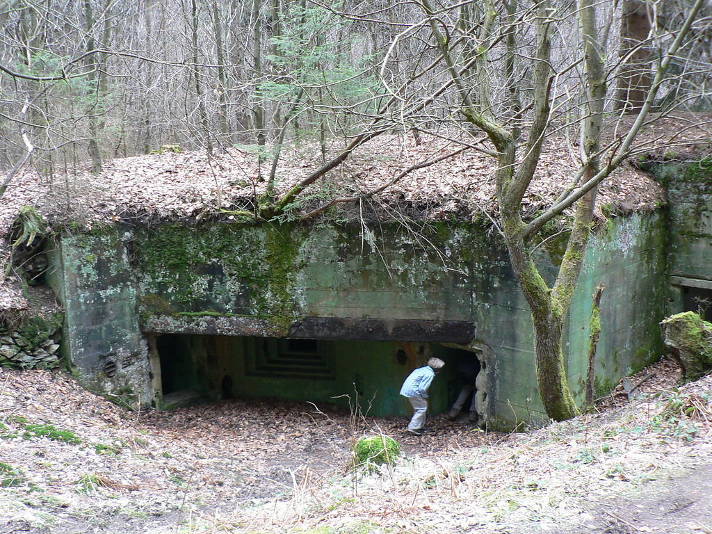 Bunkergruppe im Buhlert bei Simmerath (2008)
