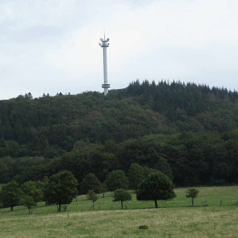Blick aus westlicher Richtung auf den Richtfunkturm Gänsehalsturm auf der Berghöhe "Gänsehals" bei Bell (2020).