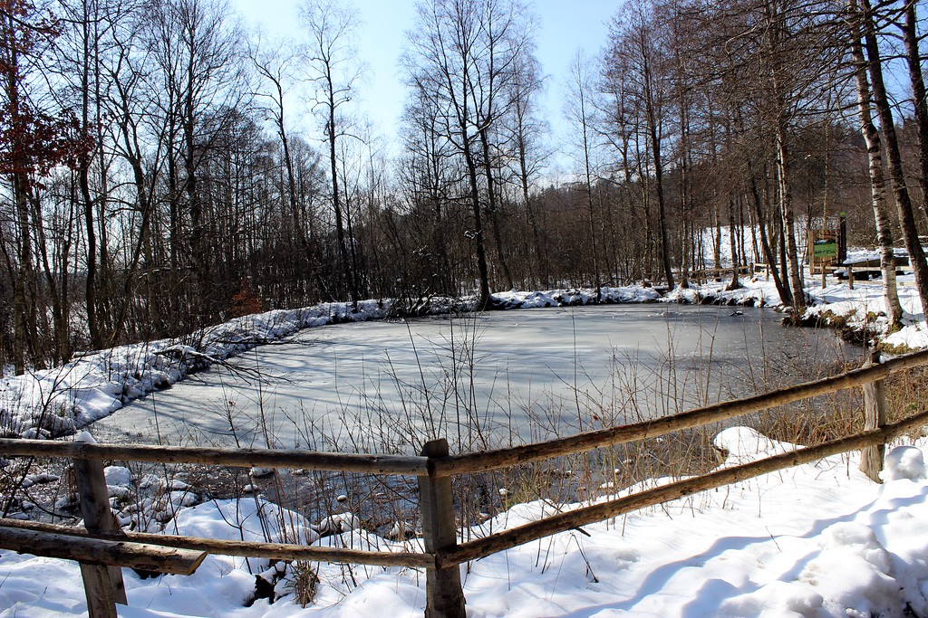 Zugefrorener Weiher am Ortseingang von Thranenweier im Winter 2016.