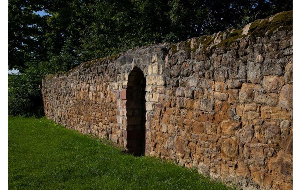 Historische Dorfmauer Dortelweil (2021)