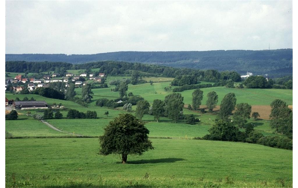 Eggegebirge und Sandebecker Hügelland bei Steinheim, Kreis Höxter