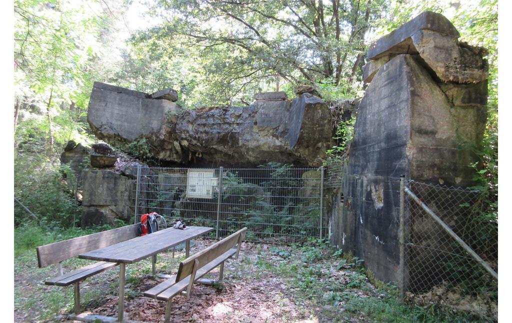 Bunker-Relikte in der Hauptkampflinie des Westwalls im Bienwald (2017)