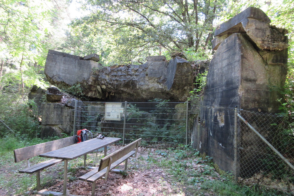 Bunker-Relikte in der Hauptkampflinie des Westwalls im Bienwald (2017)