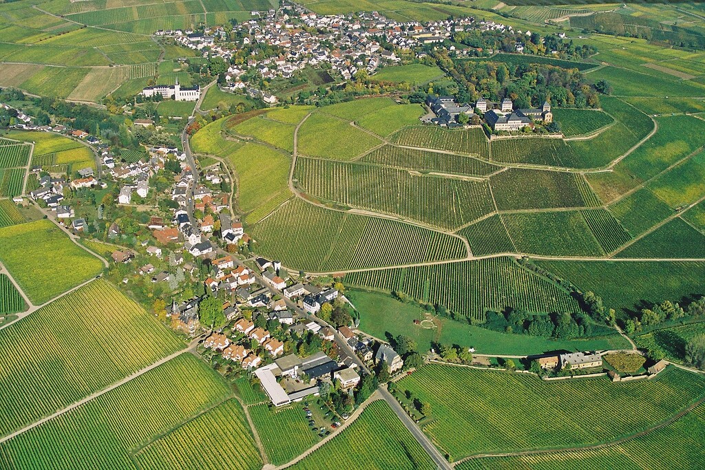 Luftaufnahme der Ortschaft Johannisberg im Rheingau (2006)