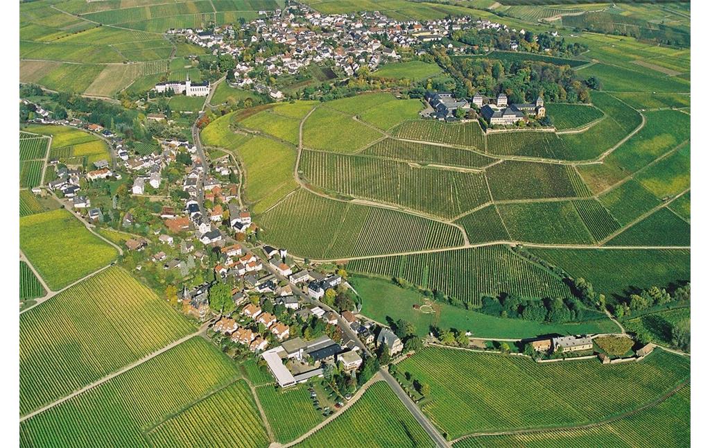 Luftaufnahme der Ortschaft Johannisberg im Rheingau (2006)