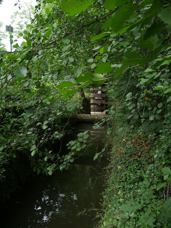 Historischer Mühlgraben mit Mühlrad an der Obermühle Limburg (2017)