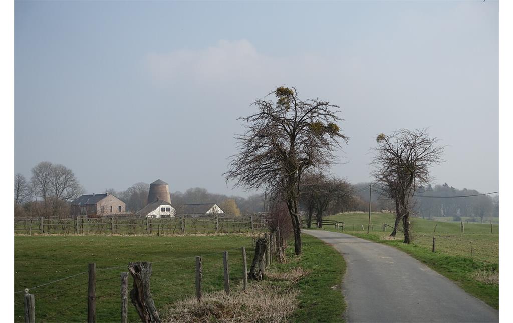 Straße zur Vetschauer Windmühle (2015)