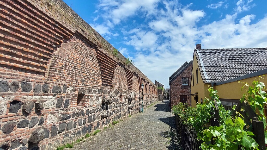 Blick entlang der Nordseite der Stadtmauer in Dormagen-Zons (2022).